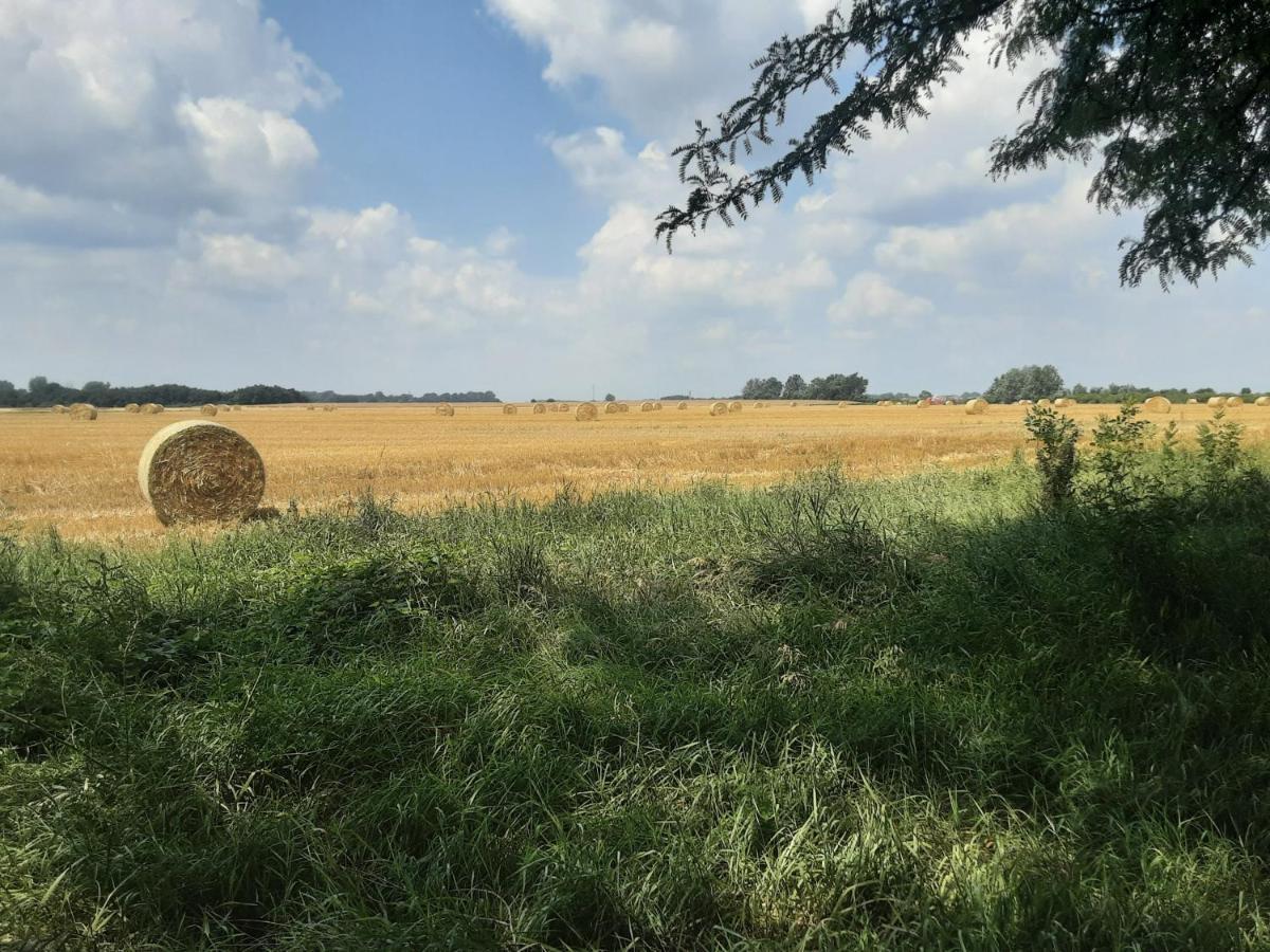 Herberg Tisza Tiszababolna Exterior photo
