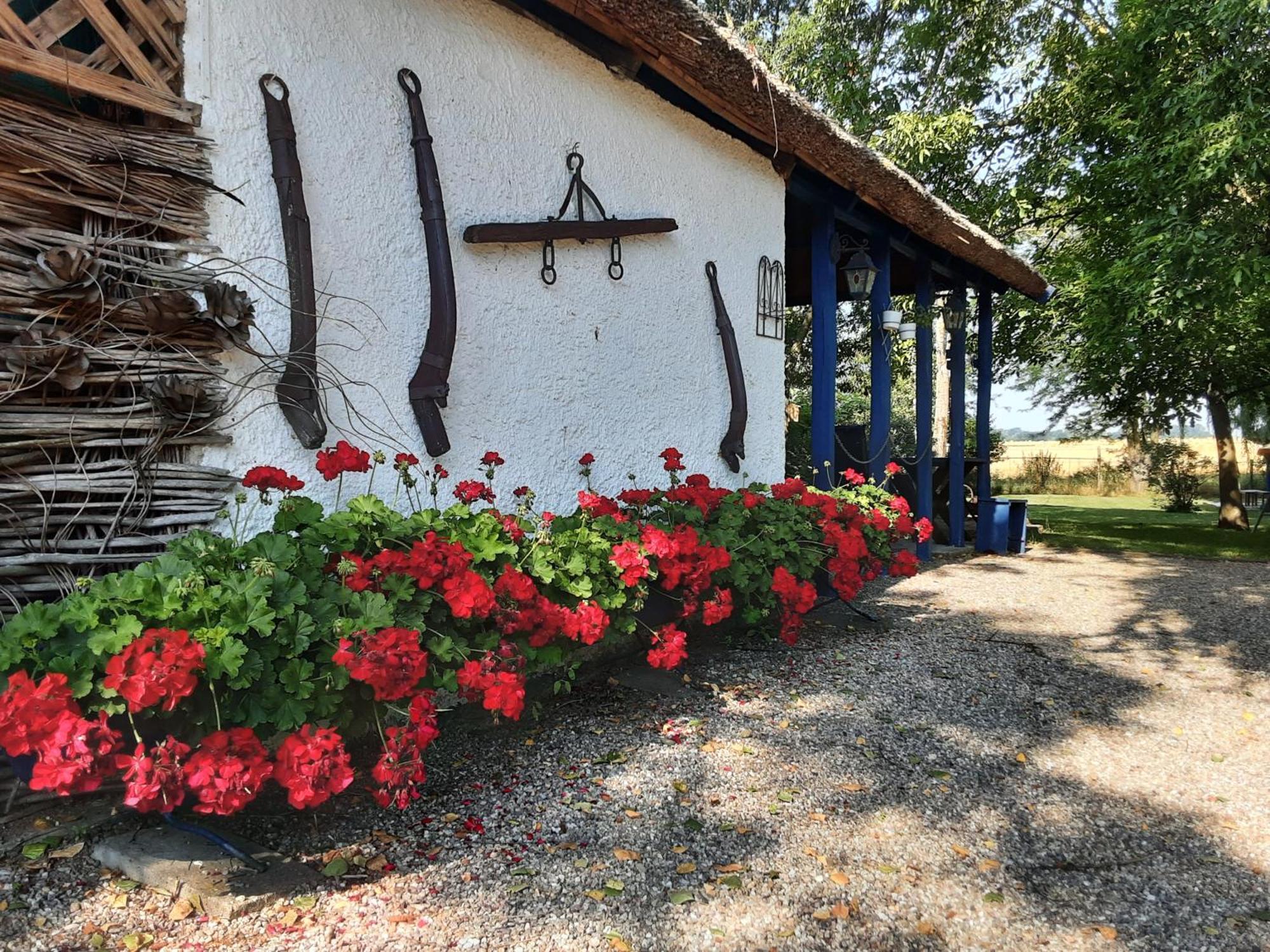 Herberg Tisza Tiszababolna Exterior photo